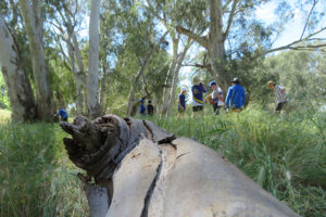 Holbrook Landcare Book Library